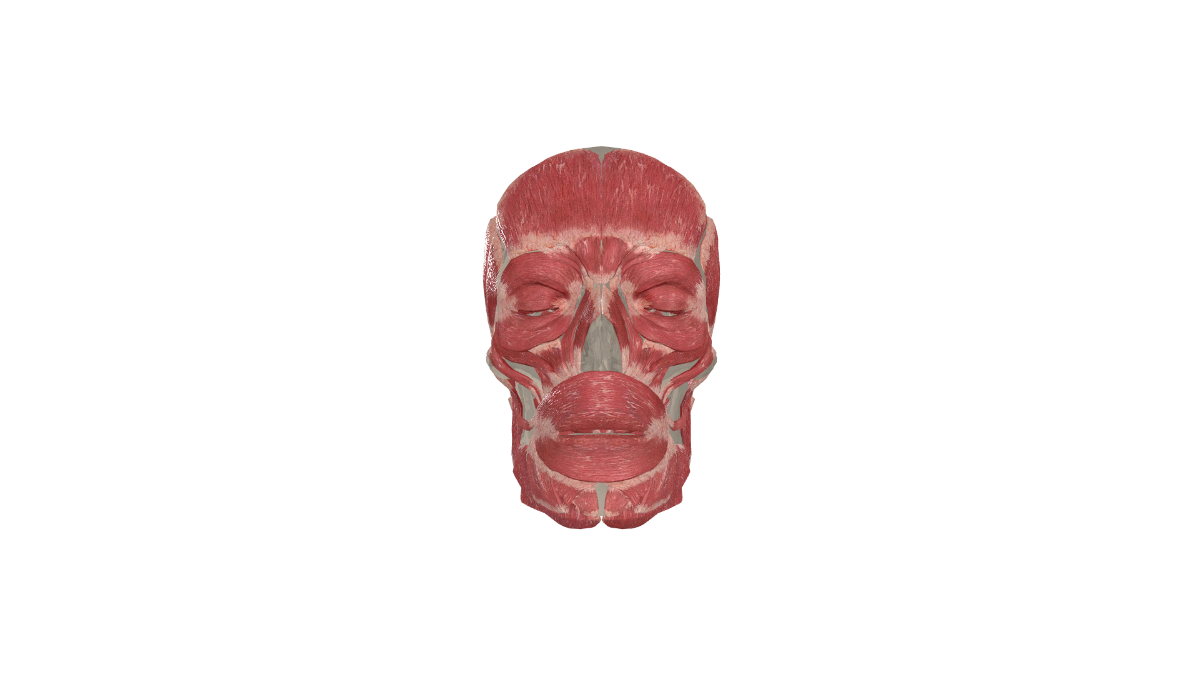 In browser 3D medical training tool